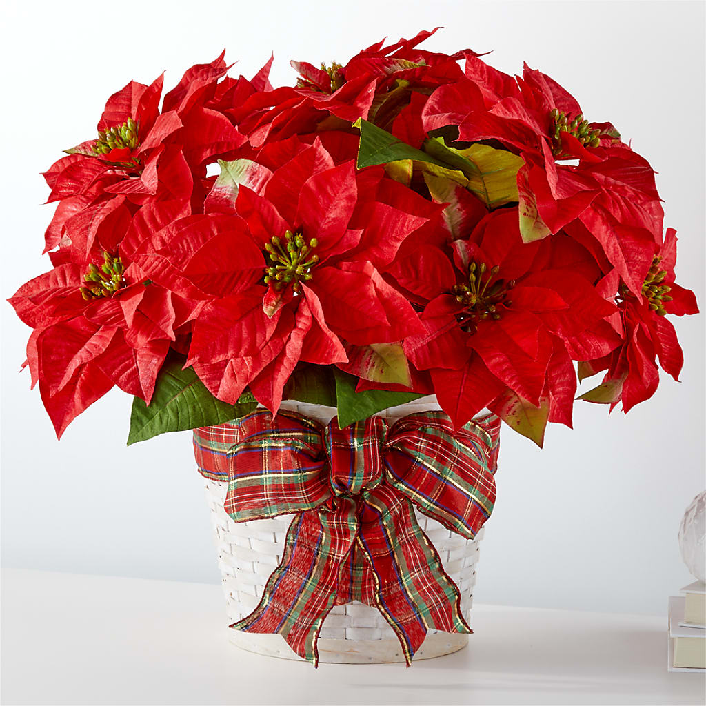 Happiest Holidays Poinsettia – Fleuriste Rive Sud, Longueuil PQ