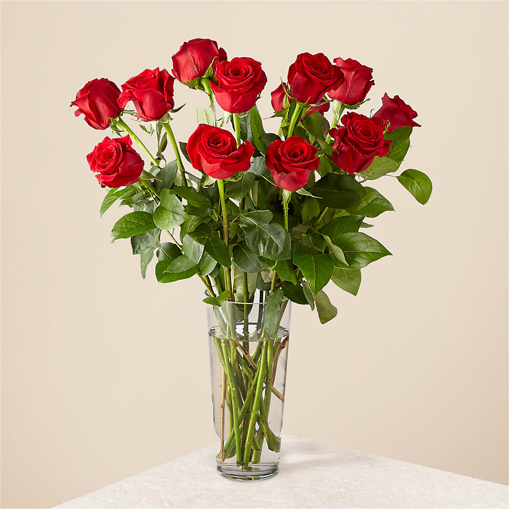 Long Stem Red Rose Bouquet – Fleuriste Rive Sud, Longueuil PQ