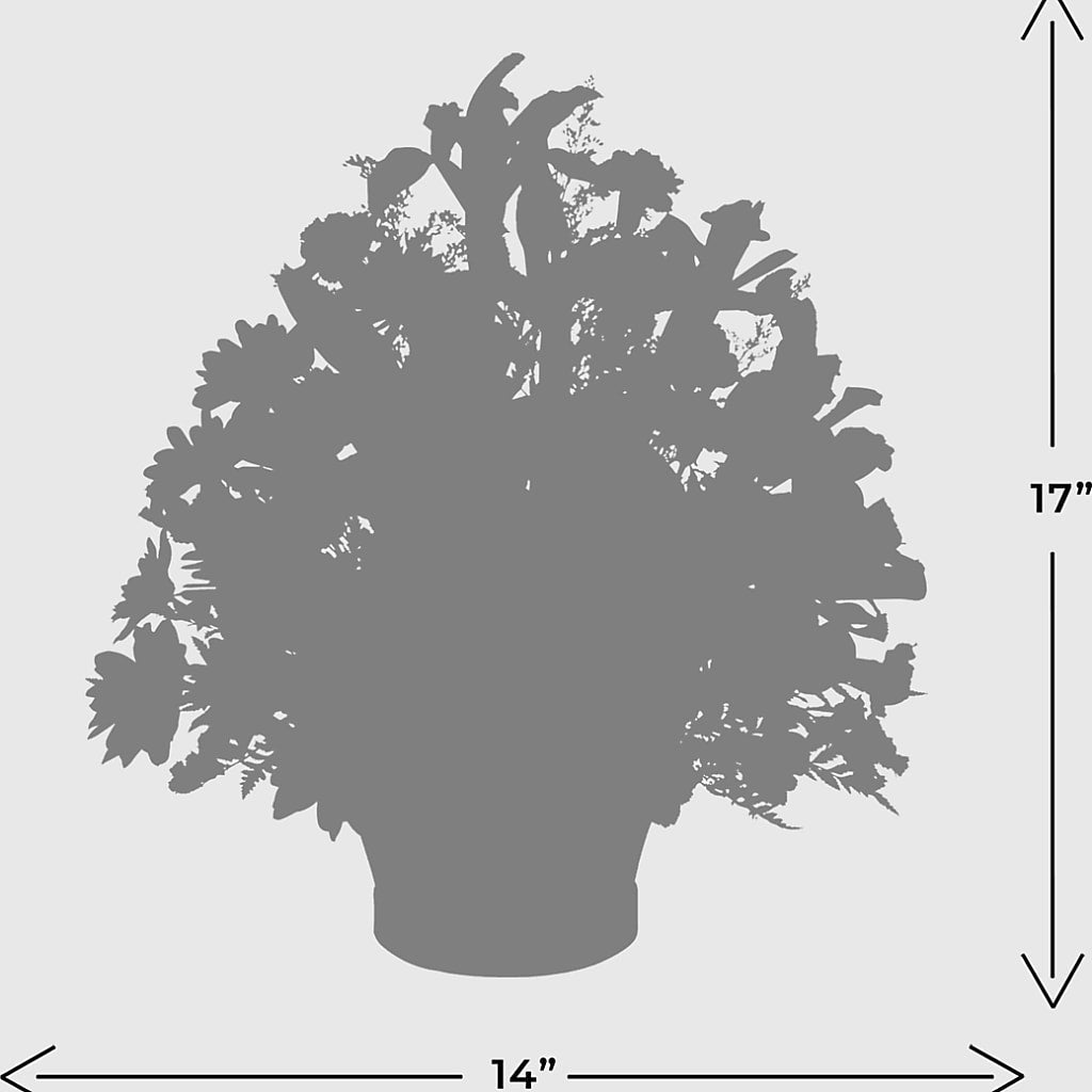 The Wondrous Nature Bouquet – Fleuriste Rive Sud, Longueuil PQ