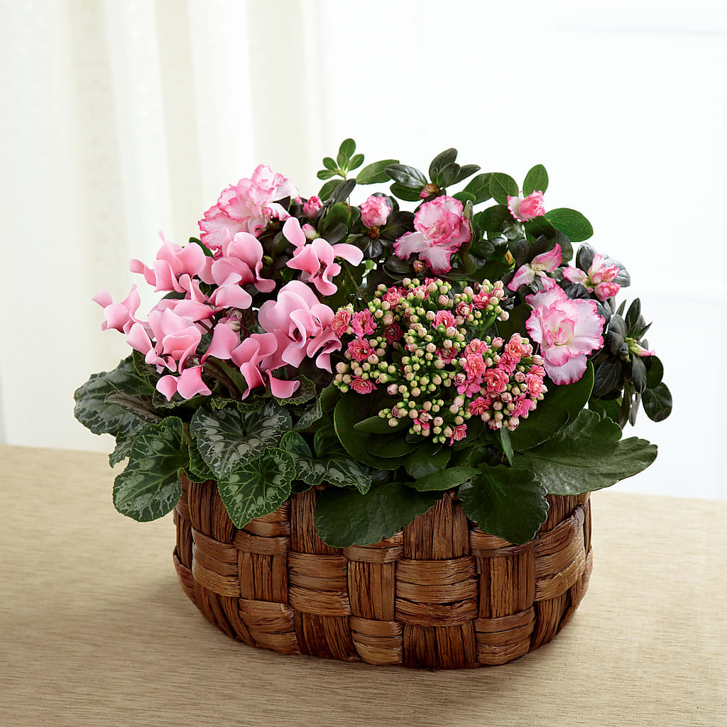 Pink Assortment – Fleuriste Rive Sud, Longueuil PQ