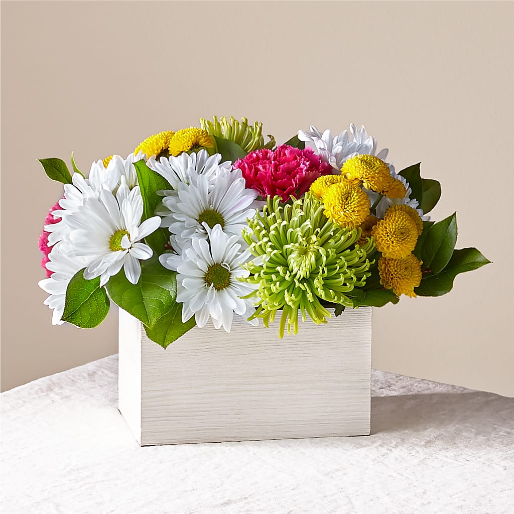 Sorbet Bouquet – Fleuriste Rive Sud, Longueuil PQ