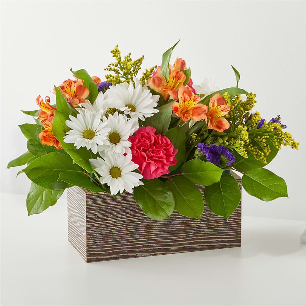 Oopsie Daisy Box Bouquet – Fleuriste Rive Sud, Longueuil PQ