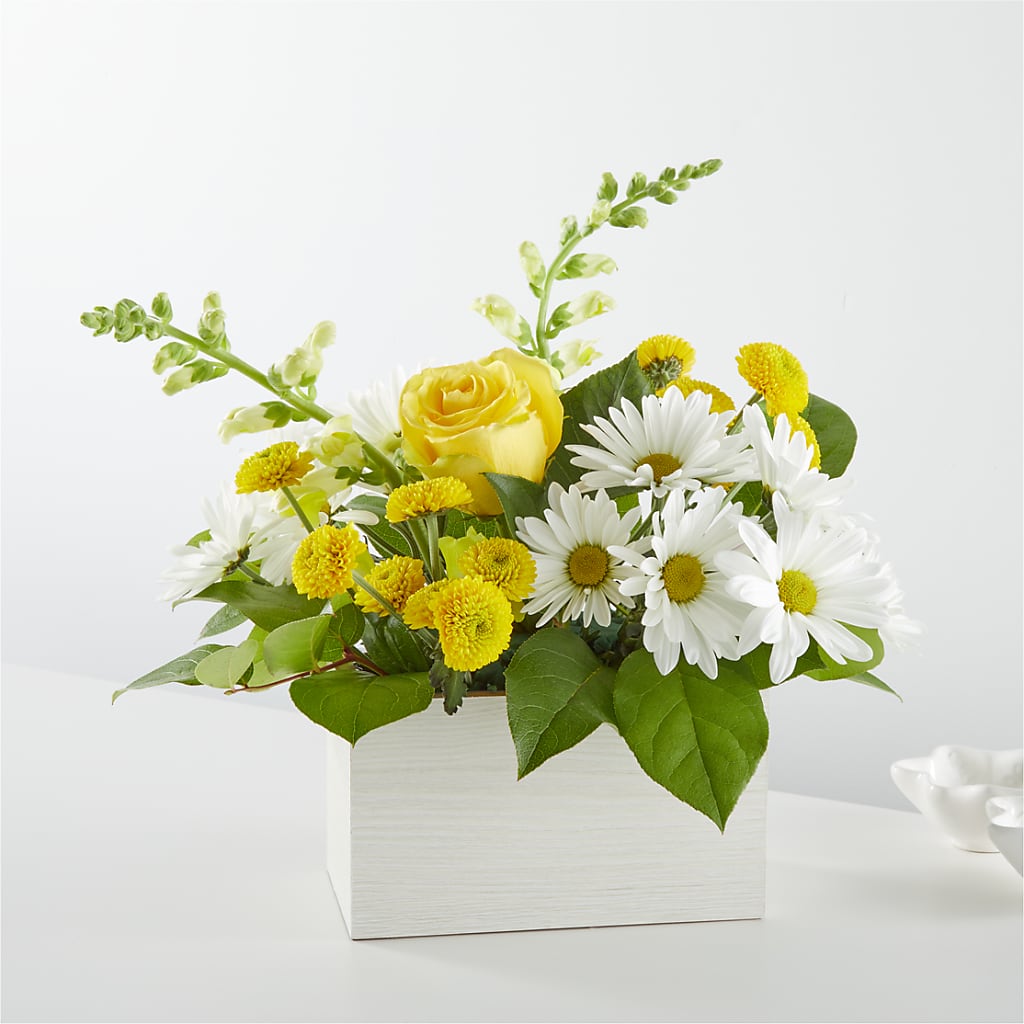 Sun Salutation Box Bouquet – Fleuriste Rive Sud, Longueuil PQ