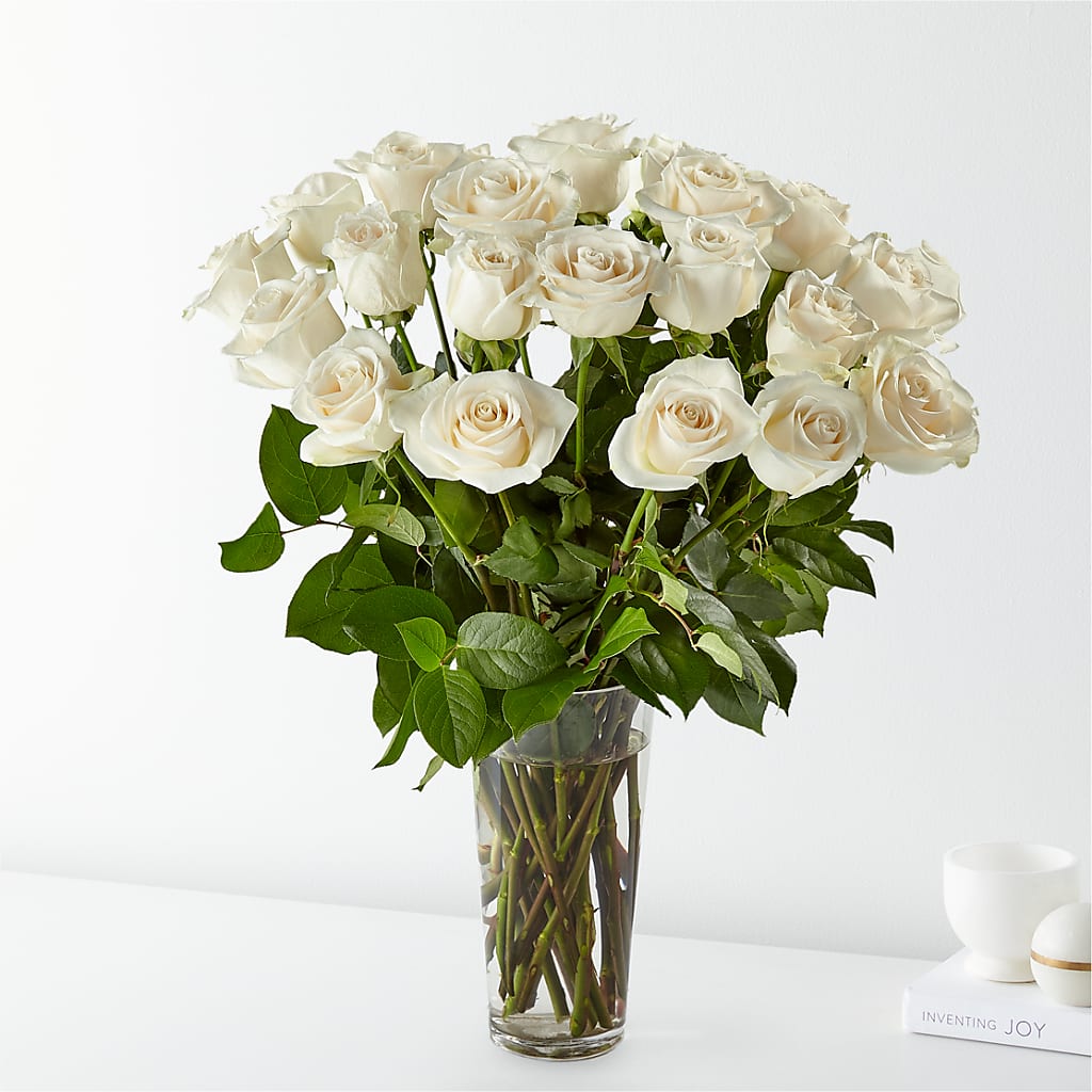 Long Stem White Rose Bouquet – Fleuriste Rive Sud, Longueuil PQ