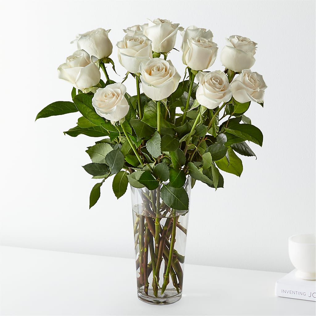Long Stem White Rose Bouquet – Fleuriste Rive Sud, Longueuil PQ