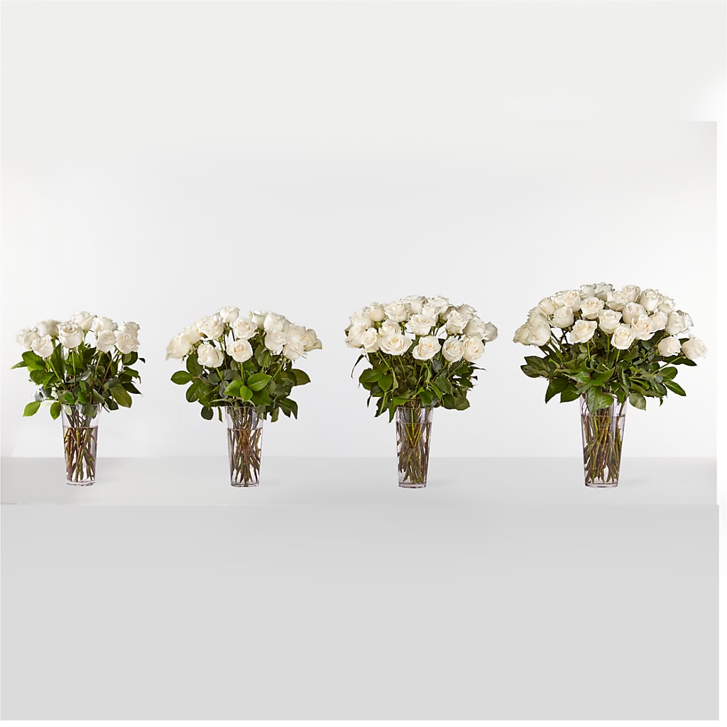 Long Stem White Rose Bouquet – Fleuriste Rive Sud, Longueuil PQ