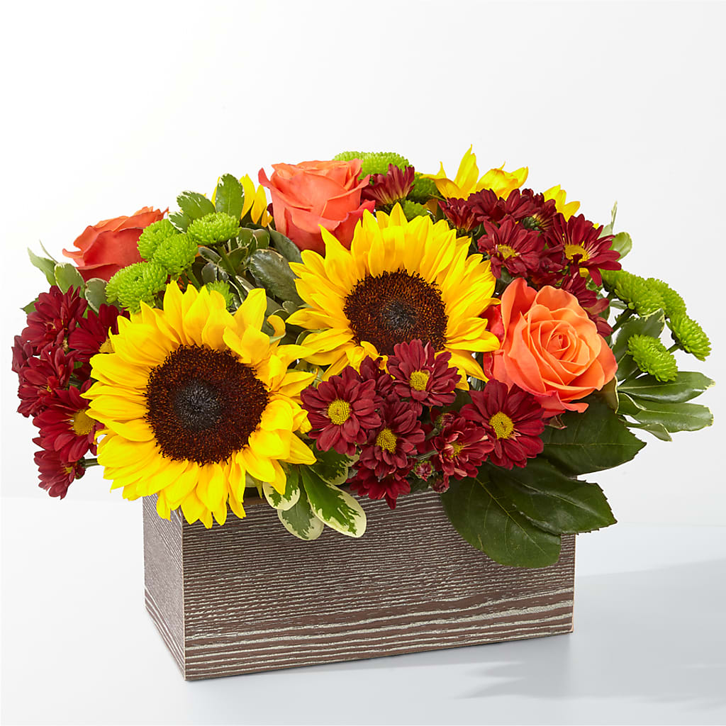 Happy Harvest Garden – Fleuriste Rive Sud, Longueuil PQ