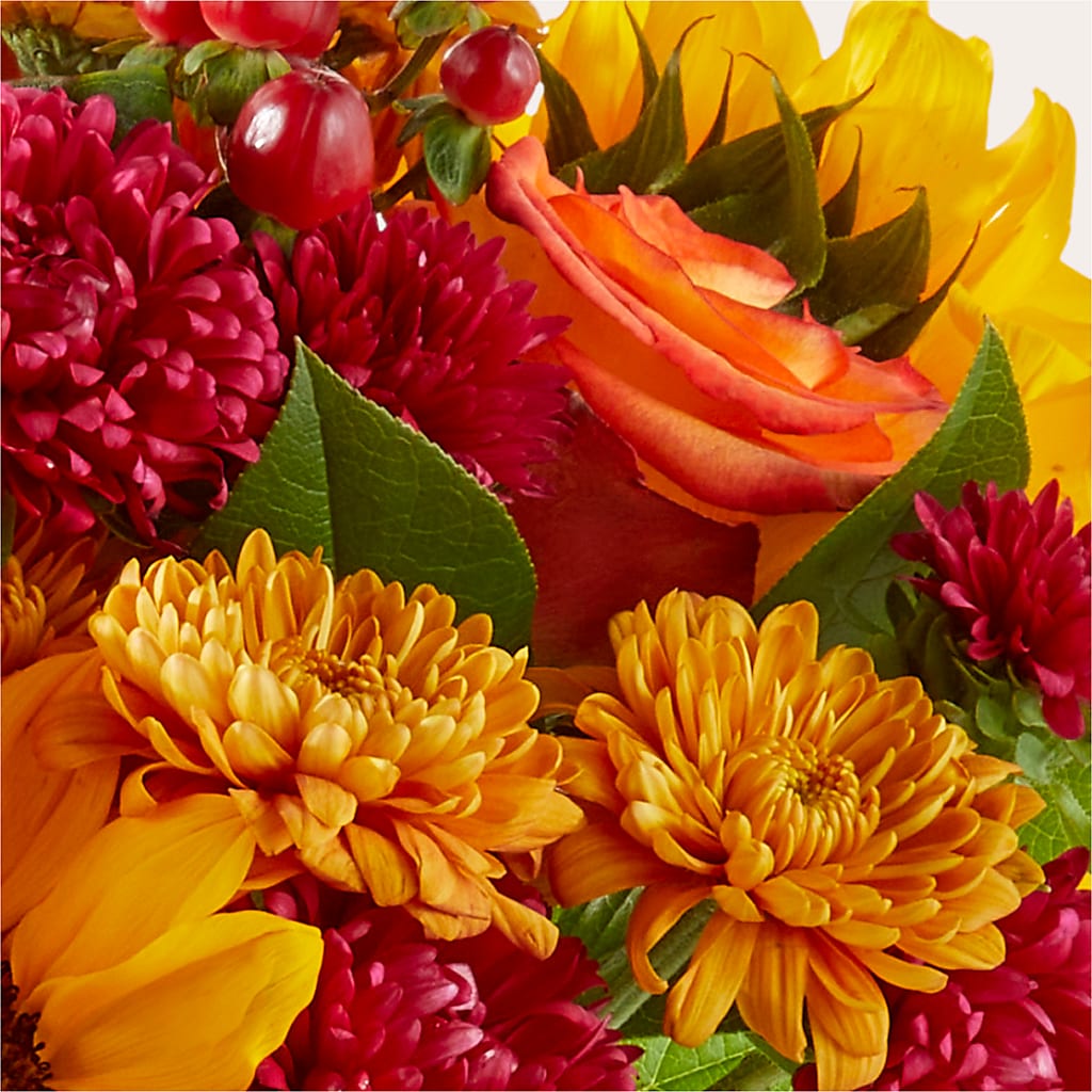 Sweater Season - A Florist Original – Fleuriste Rive Sud, Longueuil PQ