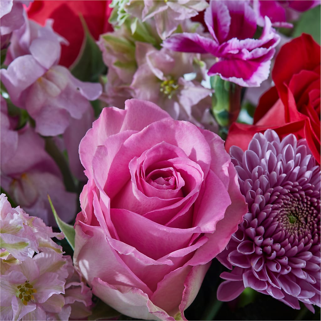 Better Together - A Luxury Florist Original – Fleuriste Rive Sud, Longueuil PQ