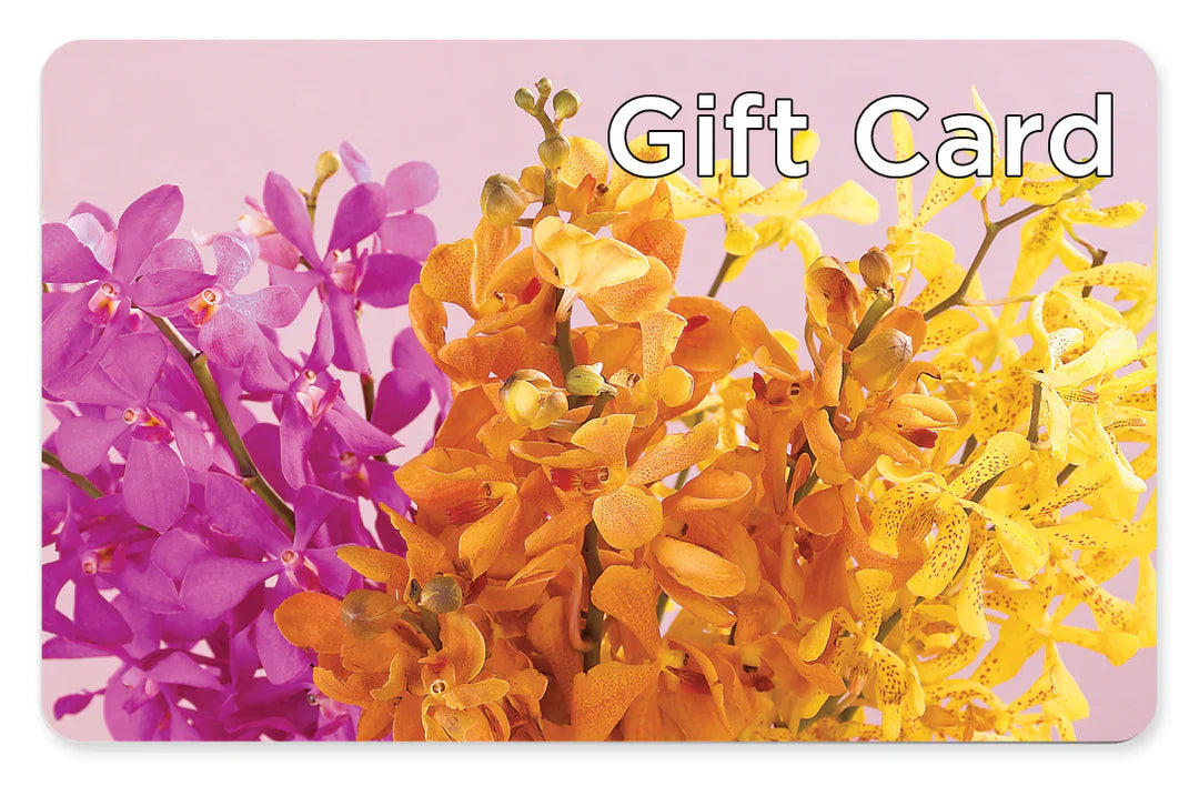 Gift Card – Fleuriste Rive Sud, Longueuil PQ