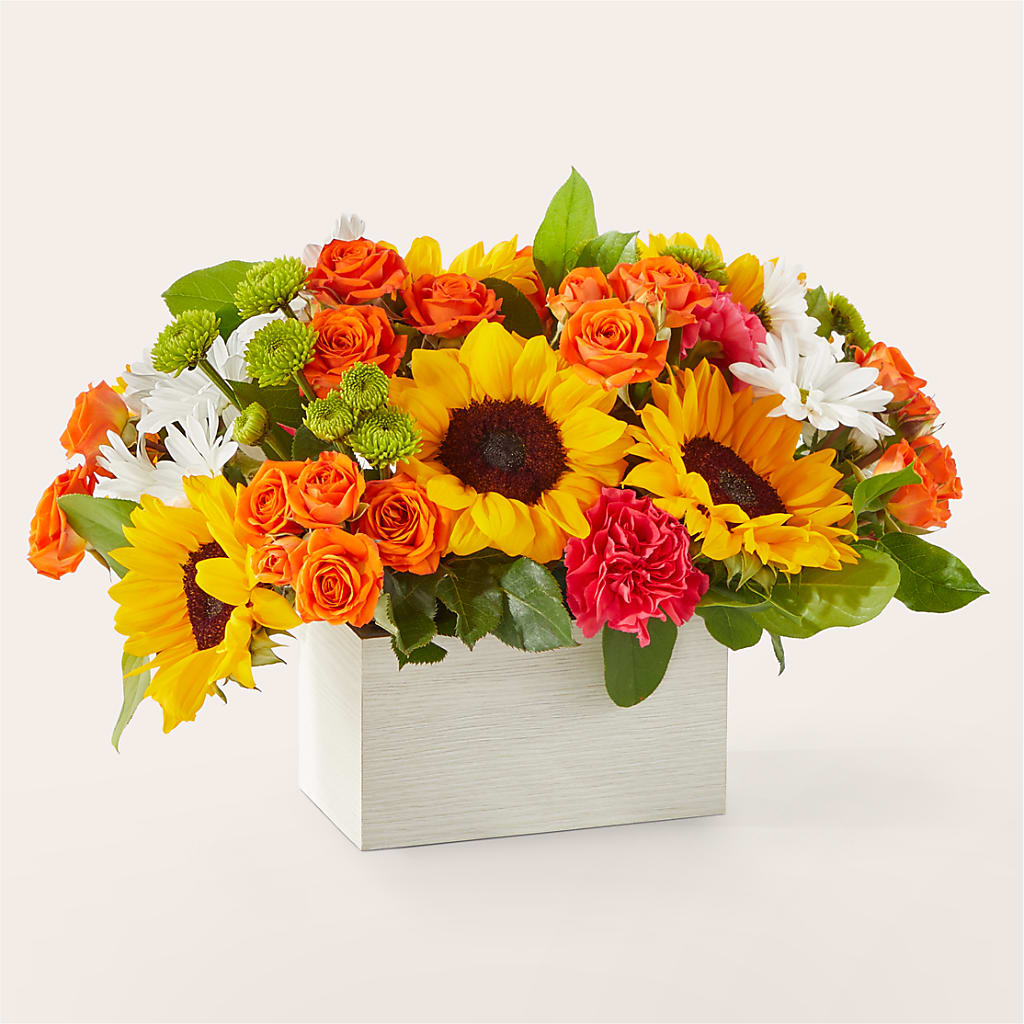 Sun-drenched Blooms Box Bouquet – Fleuriste Rive Sud, Longueuil PQ