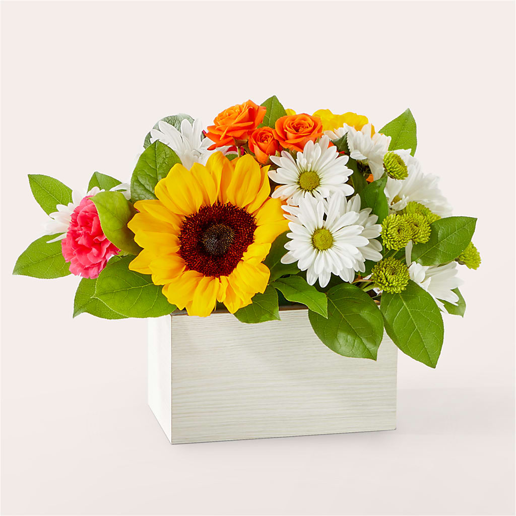 Sun-drenched Blooms Box Bouquet – Fleuriste Rive Sud, Longueuil PQ