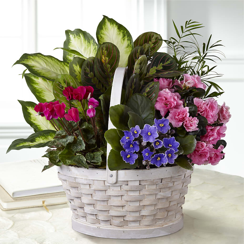 Peaceful Garden Planter – Fleuriste Rive Sud, Longueuil PQ