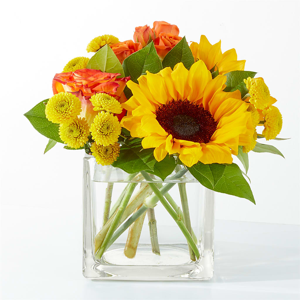 Picnic in the Park Bouquet – Fleuriste Rive Sud, Longueuil PQ