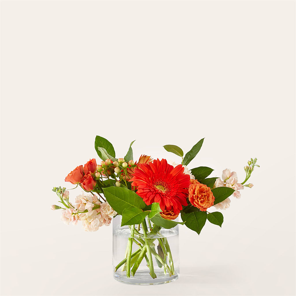 Paloma Please Bouquet – Fleuriste Rive Sud, Longueuil PQ
