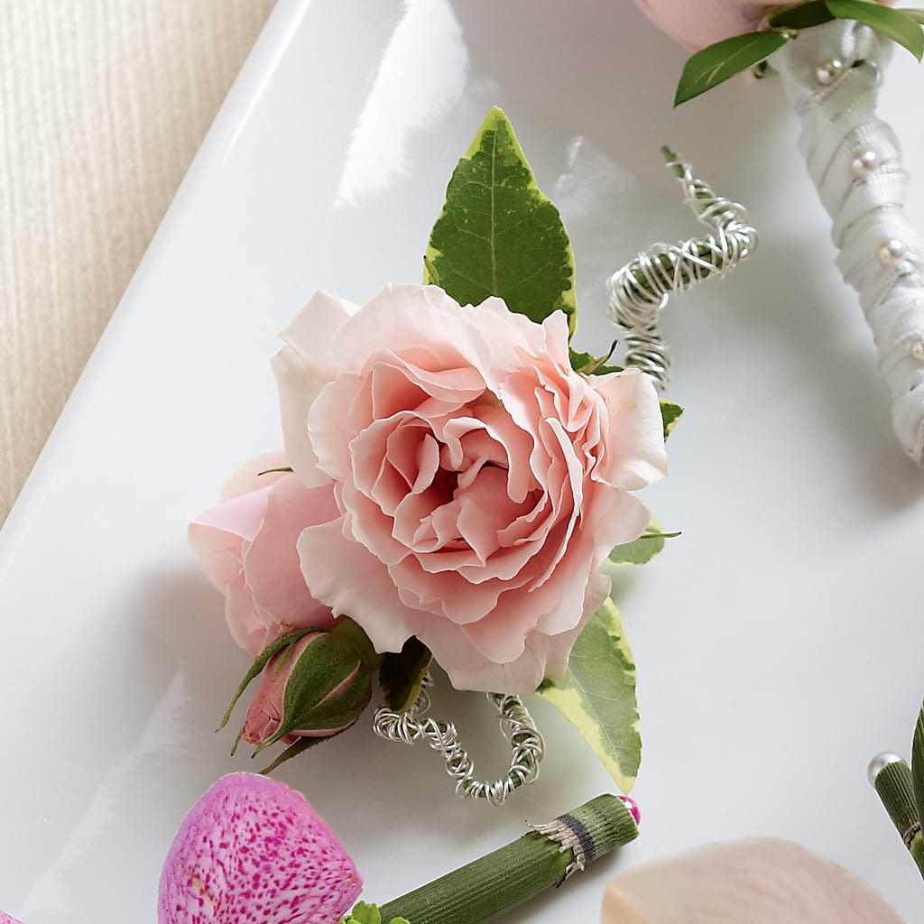 Pink Spray Rose Boutonniere – Fleuriste Rive Sud, Longueuil PQ