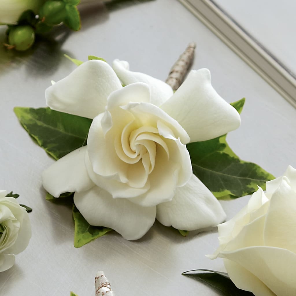 Gardenia Boutonniere – Fleuriste Rive Sud, Longueuil PQ