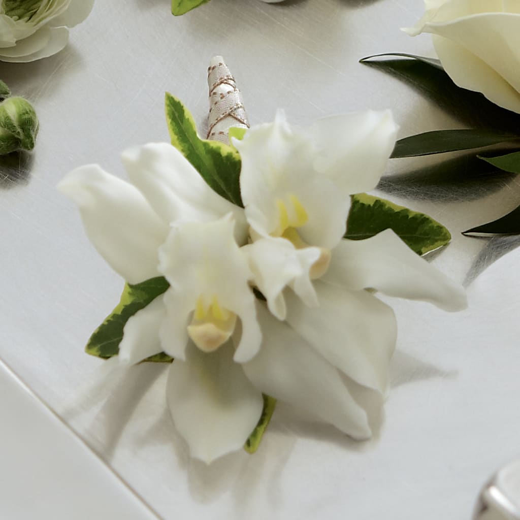 White Mini Cymbidium Boutonniere – Fleuriste Rive Sud, Longueuil PQ