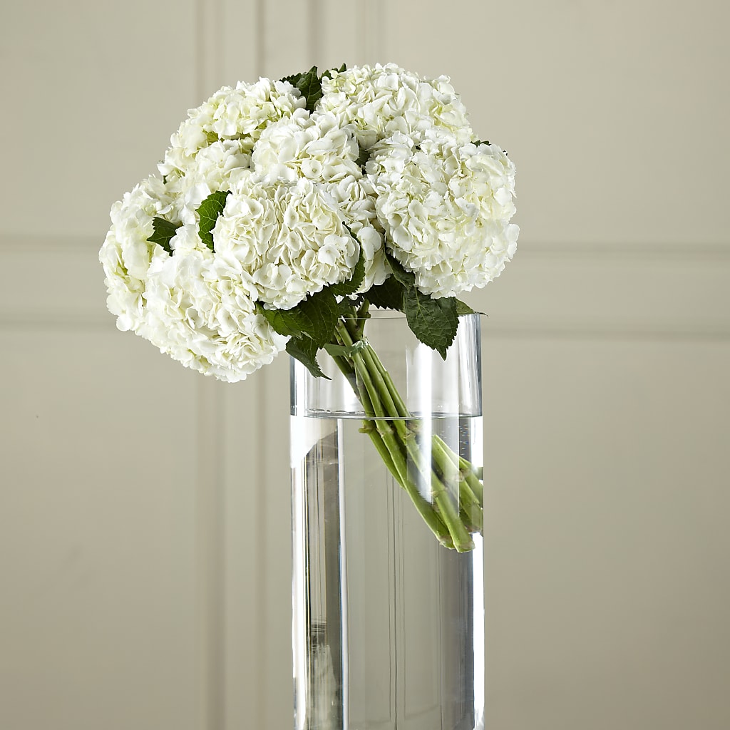 White Hydrangea Hand-Tied Bouquet – Fleuriste Rive Sud, Longueuil PQ