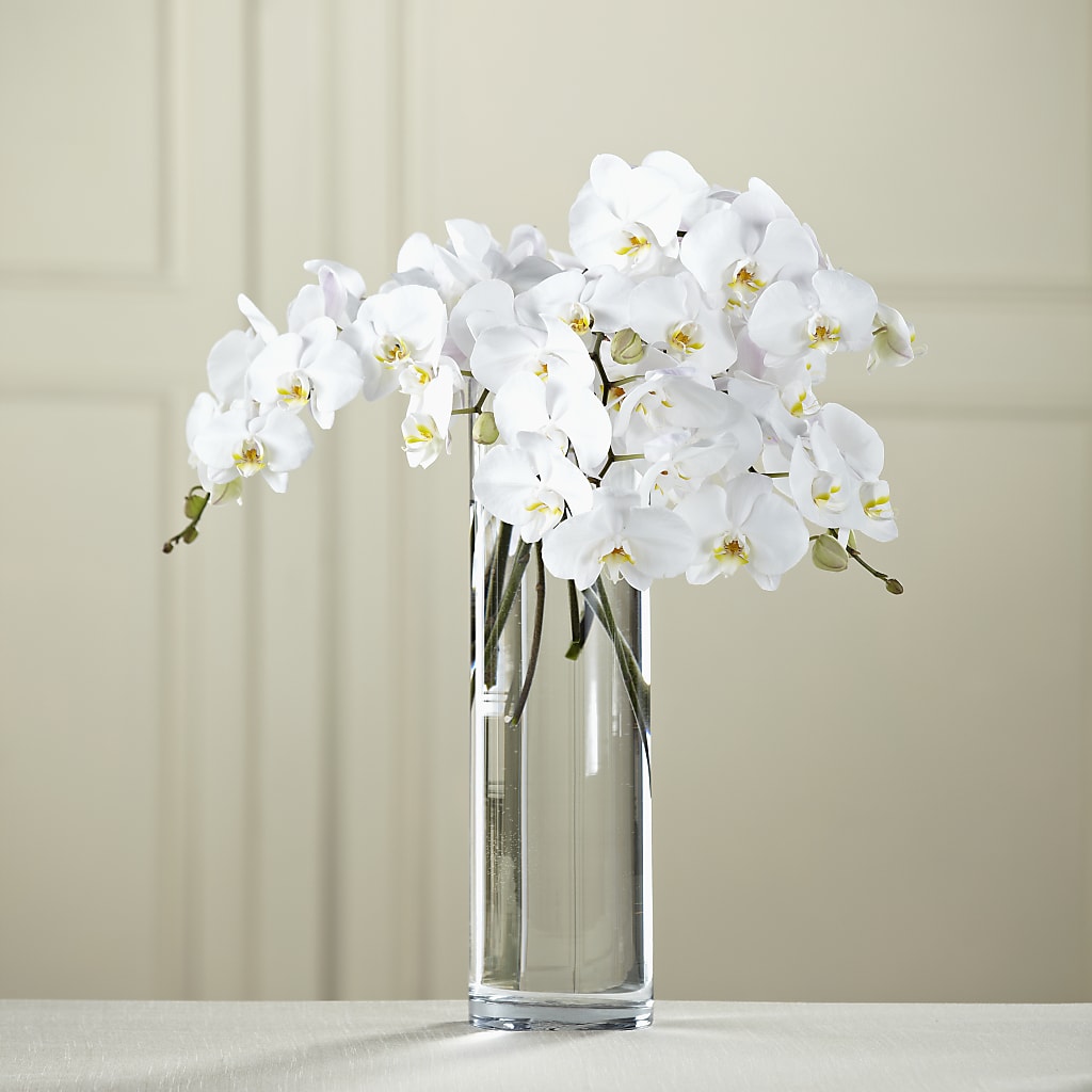 White Phalaenopsis Bouquet – Fleuriste Rive Sud, Longueuil PQ