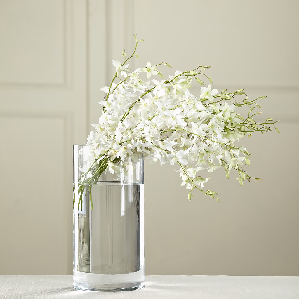 White Dendrobium Bouquet – Fleuriste Rive Sud, Longueuil PQ