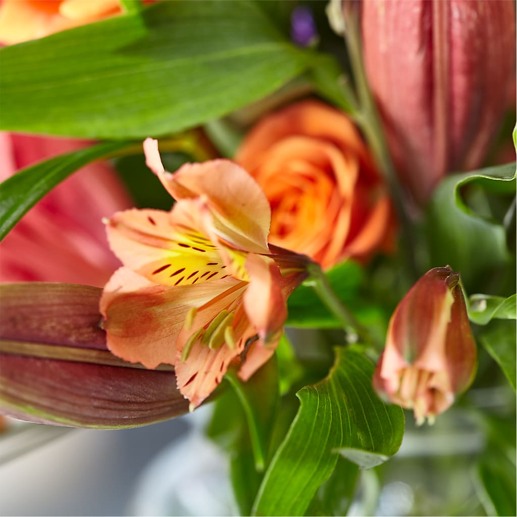 Bold & Bright – A Florist Original –  Fleuriste Rive Sud, Longueuil PQ
