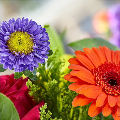 Bold & Bright – A Florist Original –  Fleuriste Rive Sud, Longueuil PQ