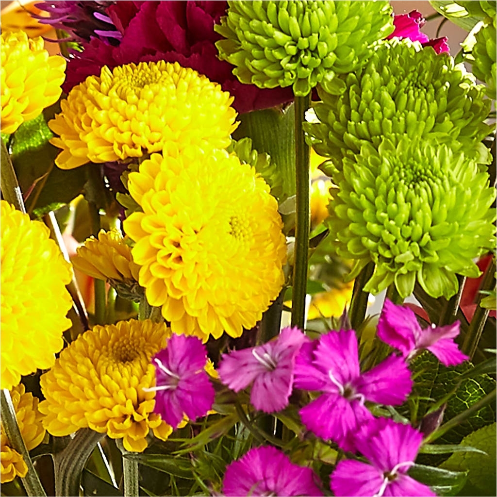 Bold & Bright – A Florist Original –  Fleuriste Rive Sud, Longueuil PQ