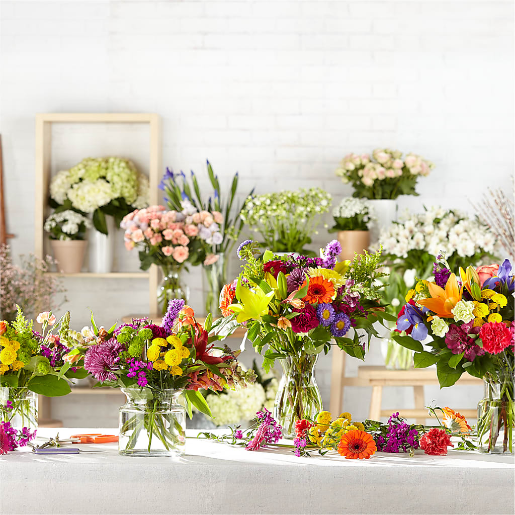 Bold & Bright – A Florist Original –  Fleuriste Rive Sud, Longueuil PQ