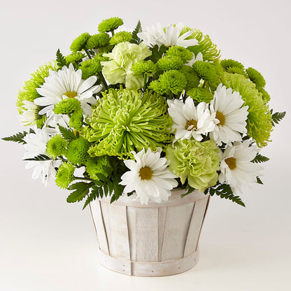 Lucky Charm Basket (Standard) –  Fleuriste Rive Sud, Longueuil PQ