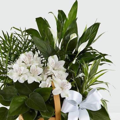 Peace & Serenity Dishgarden –  Fleuriste Rive Sud, Longueuil PQ