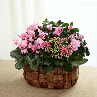 Pink Assortment –  Fleuriste Rive Sud, Longueuil PQ