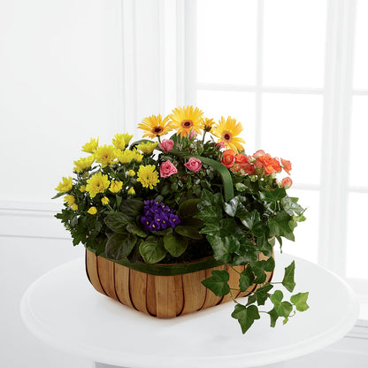 Gentle Blossoms Basket –  Fleuriste Rive Sud, Longueuil PQ