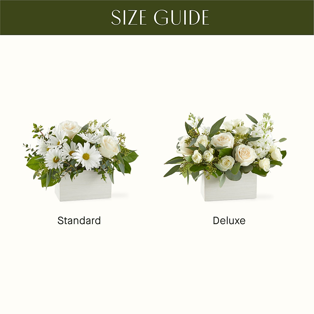 Fresh Linen Box Bouquet –  Fleuriste Rive Sud, Longueuil PQ