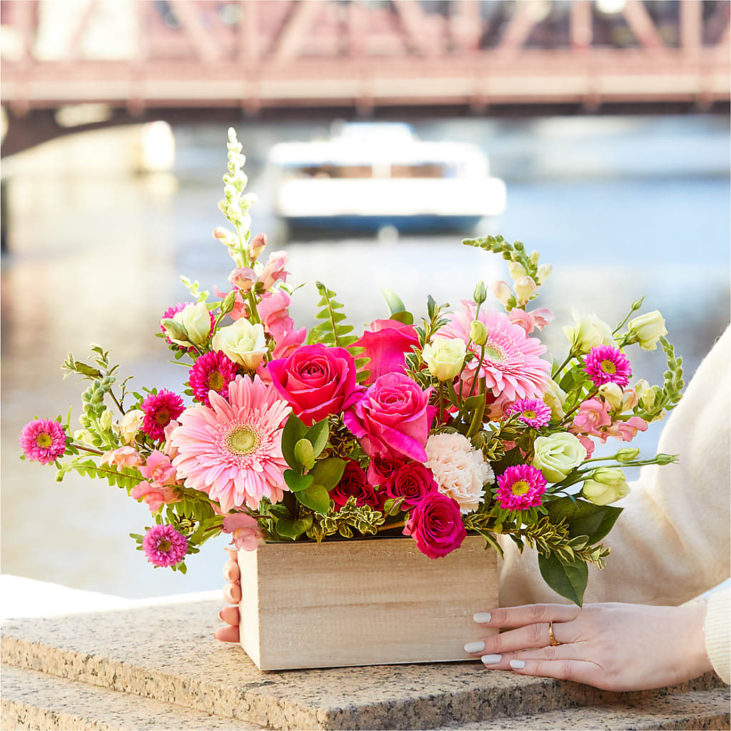 Too Cute Bouquet –  Fleuriste Rive Sud, Longueuil PQ