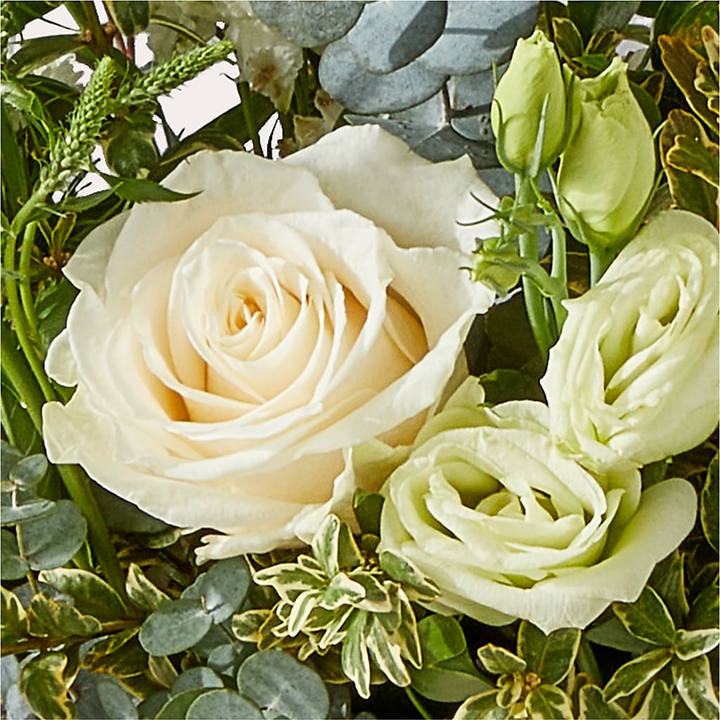 Cashmere Bouquet –  Fleuriste Rive Sud, Longueuil PQ