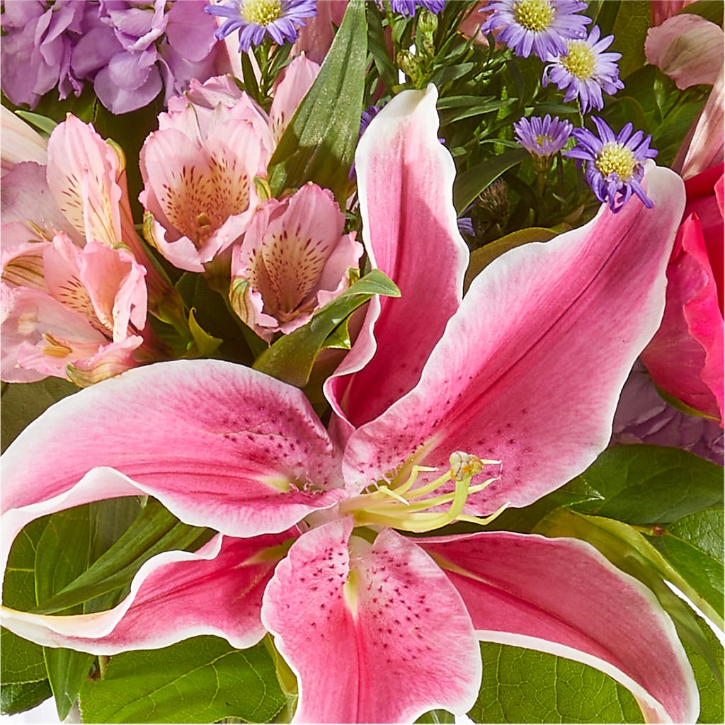 Written in the Stars Bouquet –  Fleuriste Rive Sud, Longueuil PQ