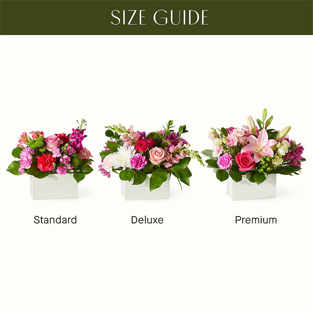 Sweetberry Box – A Florist Original –  Fleuriste Rive Sud, Longueuil PQ