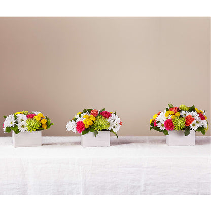 Sorbet Bouquet –  Fleuriste Rive Sud, Longueuil PQ