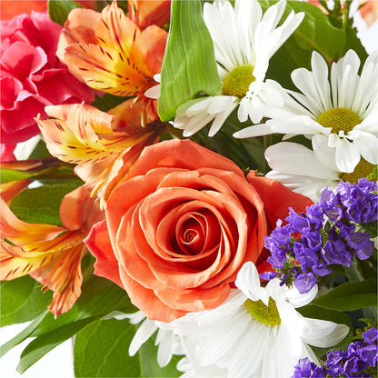 Oopsie Daisy Box Bouquet –  Fleuriste Rive Sud, Longueuil PQ