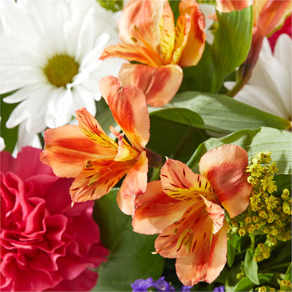 Oopsie Daisy Box Bouquet –  Fleuriste Rive Sud, Longueuil PQ