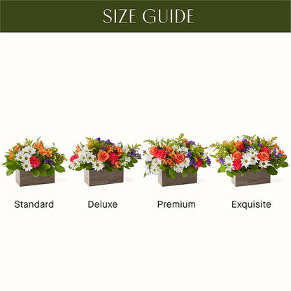Oopsie Daisy Box Bouquet –  Fleuriste Rive Sud, Longueuil PQ