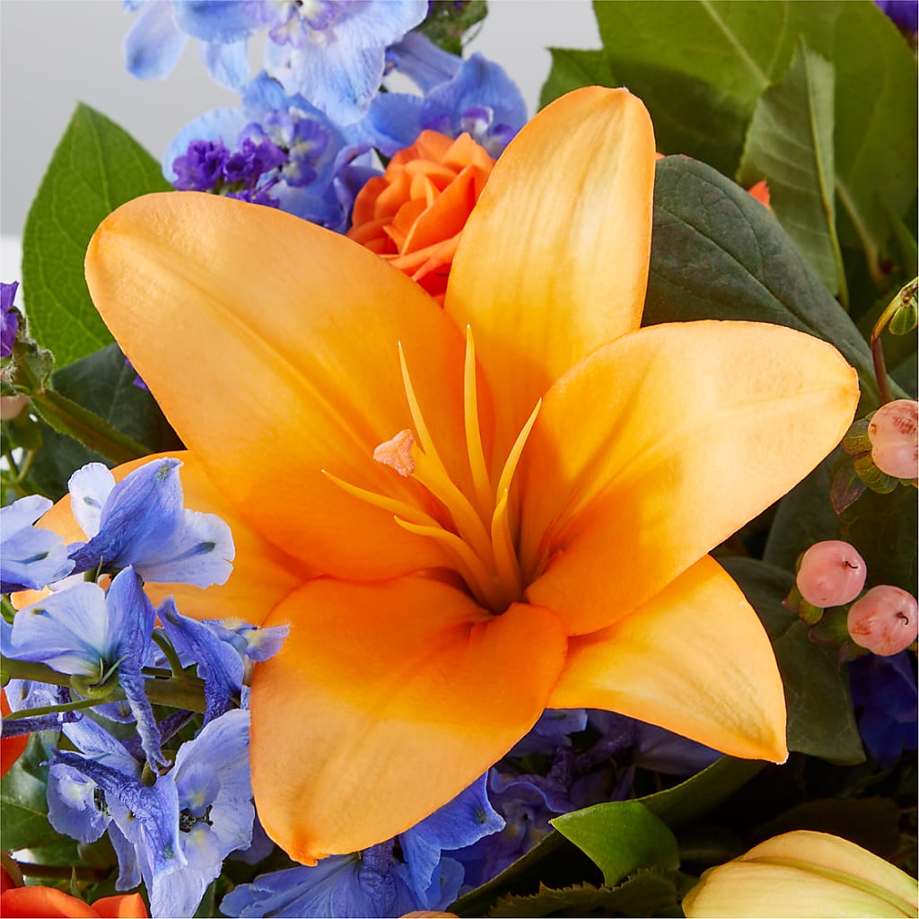 Radiant Citrus Box Bouquet –  Fleuriste Rive Sud, Longueuil PQ