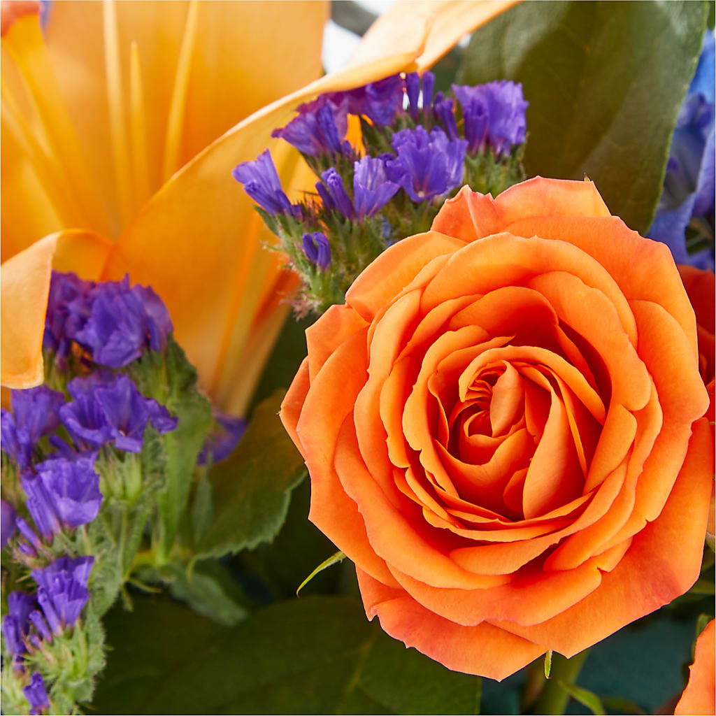 Radiant Citrus Box Bouquet –  Fleuriste Rive Sud, Longueuil PQ