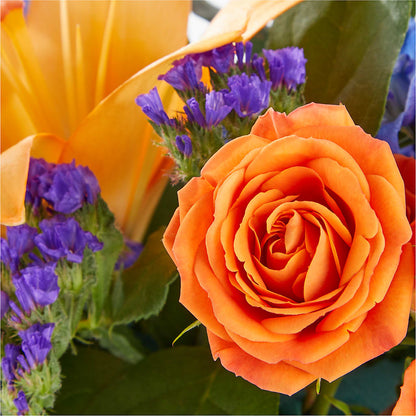 Radiant Citrus Box Bouquet –  Fleuriste Rive Sud, Longueuil PQ
