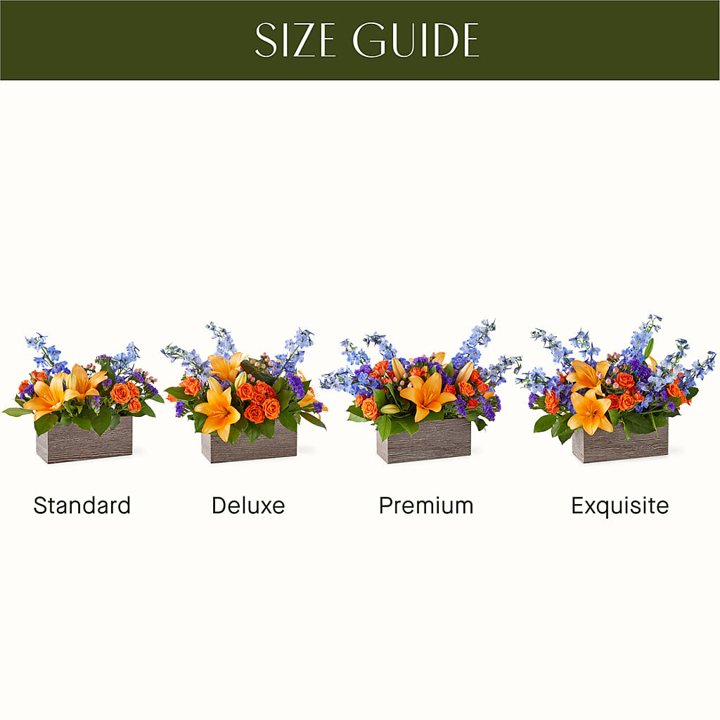 Radiant Citrus Box Bouquet –  Fleuriste Rive Sud, Longueuil PQ