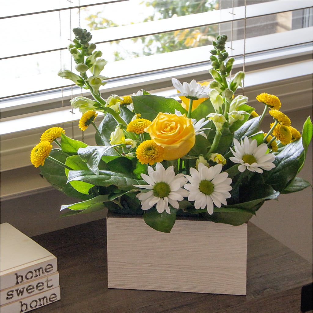 Sun Salutation Box Bouquet –  Fleuriste Rive Sud, Longueuil PQ