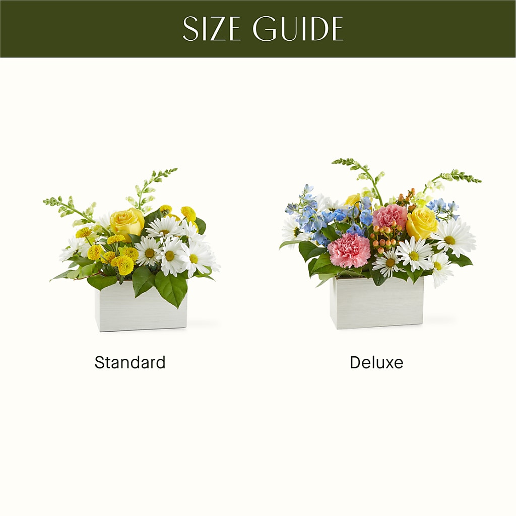 Sun Salutation Box Bouquet –  Fleuriste Rive Sud, Longueuil PQ