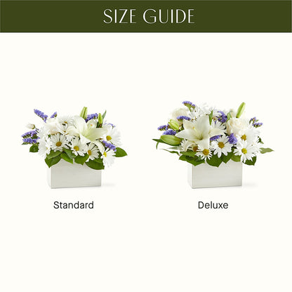 Beyond Blue Box Bouquet –  Fleuriste Rive Sud, Longueuil PQ