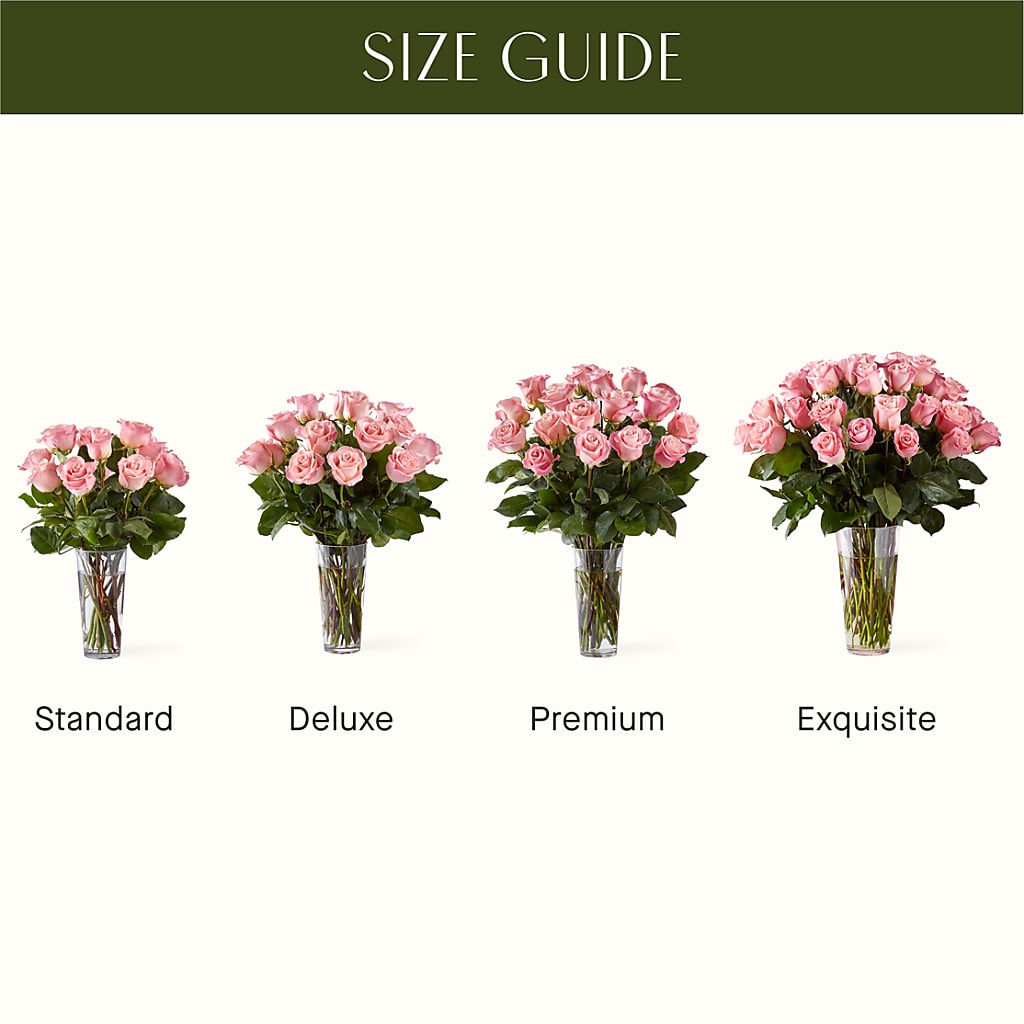Long Stem Pink Rose Bouquet –  Fleuriste Rive Sud, Longueuil PQ
